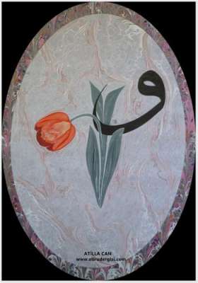 DOĞAL LALE (TULIPPA)