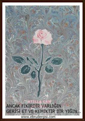 YAZILI-RESİMLİ EBRULAR