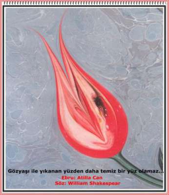 YAZILI-RESİMLİ EBRULAR