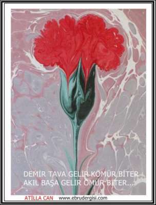 YAZILI-RESİMLİ EBRULAR