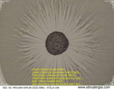 YAZILI-RESİMLİ EBRULAR