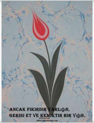 MANİDAR  SÖZ VE EBRU