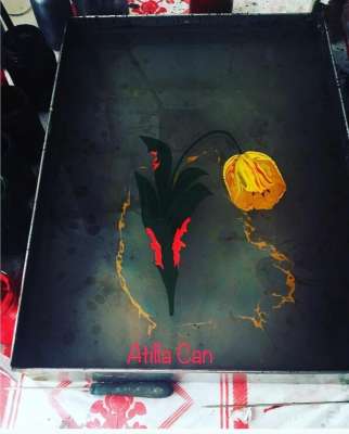 DOĞAL LALE (TULIPPA)