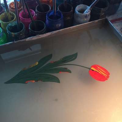 DOĞAL LALE (TULIPPA)