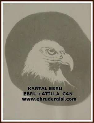 YAZILI-RESİMLİ EBRULAR