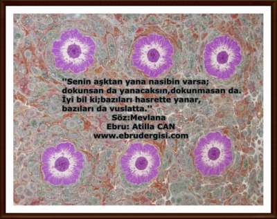 YAZILI-RESİMLİ EBRULAR