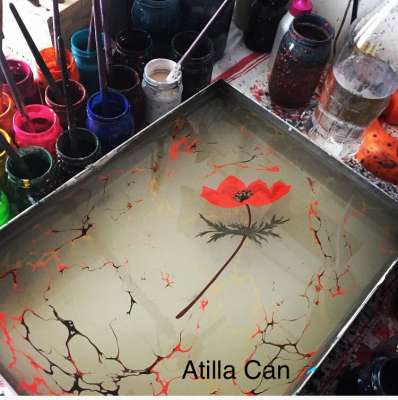 Yabani Dağ Lalesi (Anemone)