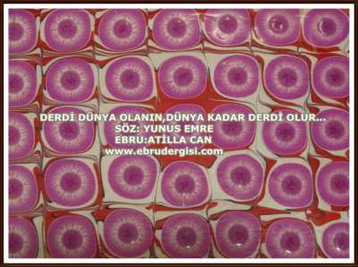 YAZILI-RESİMLİ EBRULAR