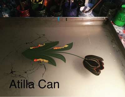 DOĞAL LALE (TULIPPA)