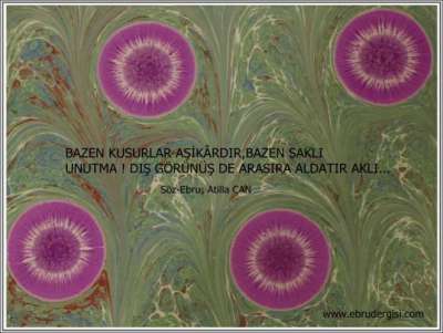 YAZILI-RESİMLİ EBRULAR