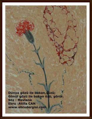 YAZILI-RESİMLİ EBRULAR