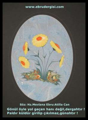 YAZILI-RESİMLİ EBRULAR