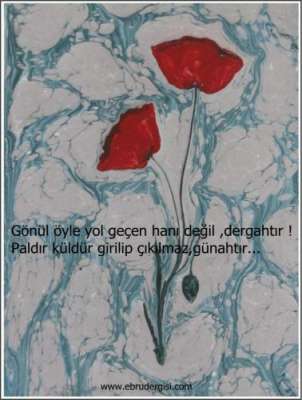 YAZILI-RESİMLİ EBRULAR