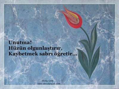 MANİDAR  SÖZ VE EBRU