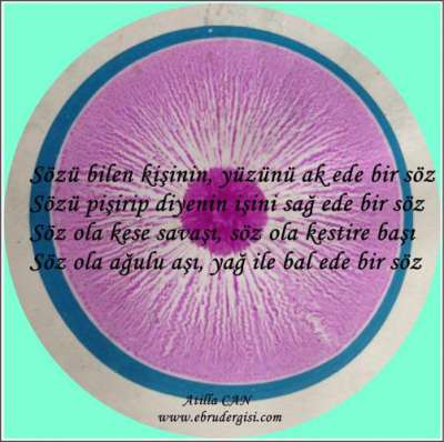 MANİDAR  SÖZ VE EBRU