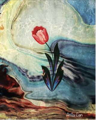 Çift-Çok Baskılı Ebru