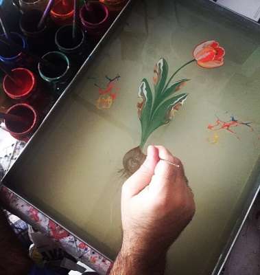 DOĞAL LALE (TULIPPA)