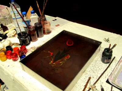 FESTİVAL VE ORGANİZASYONLAR