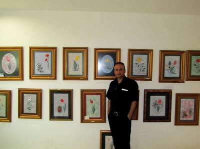 FESTİVAL VE ORGANİZASYONLAR