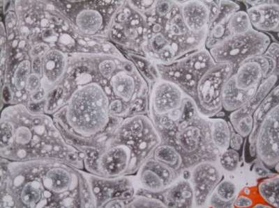 Neftli Battal Ebru (Edhem Efendi Battalı)