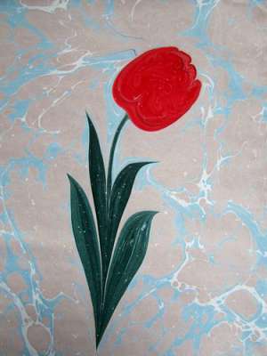 DOĞAL LALE (TULIPPA)