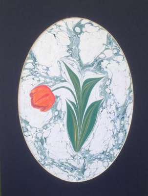 DOĞAL LALE (TULIPPA)