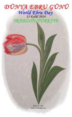 DOĞAL LALE (TULIPPA)