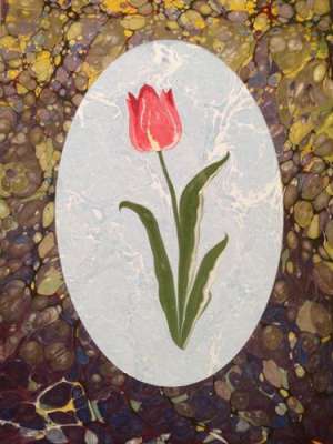 DOĞAL LALE (TULIPPA)